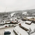 Nowotarski *