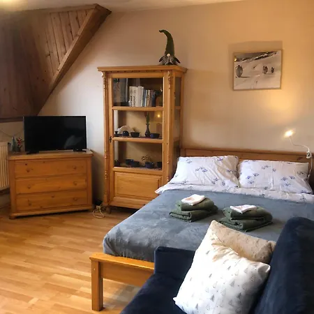 Apartment Nowotarski Zakopane